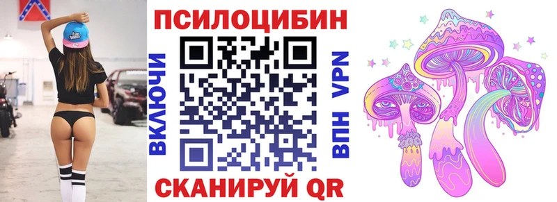 omg зеркало  цены   Калининец  Псилоцибиновые грибы прущие грибы 